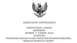 Kemejing_Peraturan Lurah tentang Pembentukan BUMKalMa Semin